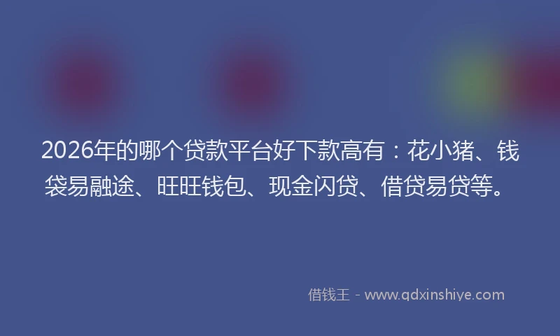 2026年的哪个贷款平台好下款高有：花小猪、钱袋易融途、旺旺钱包、现金闪贷、借贷易贷等。
