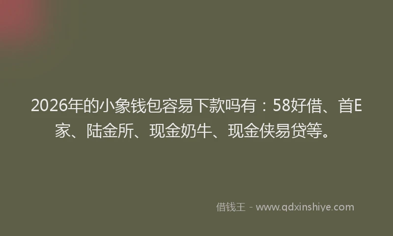 2026年的小象钱包容易下款吗有：58好借、首E家、陆金所、现金奶牛、现金侠易贷等。