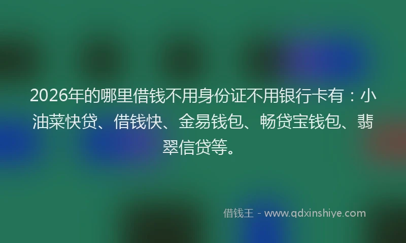 2026年的哪里借钱不用身份证不用银行卡有：小油菜快贷、借钱快、金易钱包、畅贷宝钱包、翡翠信贷等。