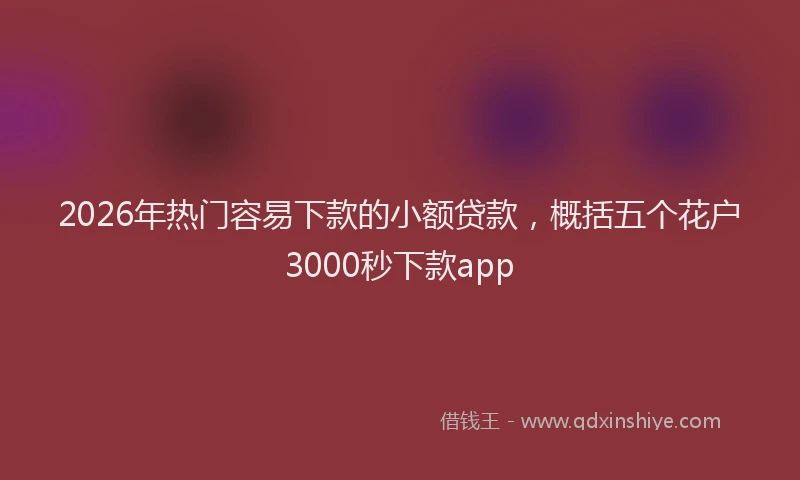 2026年热门容易下款的小额贷款，概括五个花户3000秒下款app