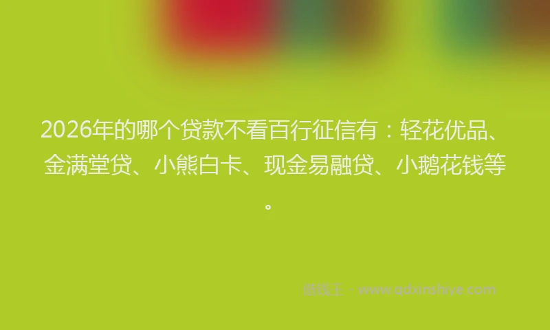 2026年的哪个贷款不看百行征信有：轻花优品、金满堂贷、小熊白卡、现金易融贷、小鹅花钱等。
