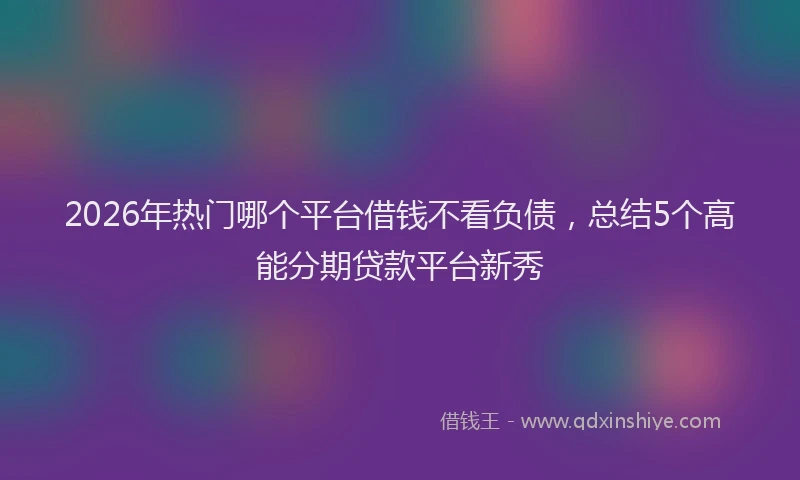 2026年热门哪个平台借钱不看负债，总结5个高能分期贷款平台新秀