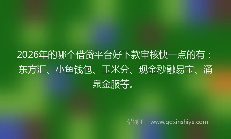 2026年的哪个借贷平台好下款审核快一点的有：东方汇、小鱼钱包、玉米分、现金秒融易宝、涌泉金服等。