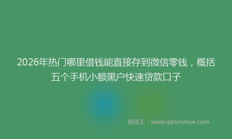 2026年热门哪里借钱能直接存到微信零钱，概括五个手机小额黑户快速贷款口子