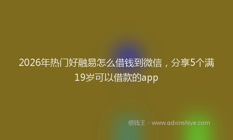 2026年热门好融易怎么借钱到微信，分享5个满19岁可以借款的app