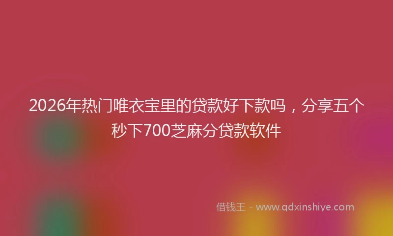 2026年热门唯衣宝里的贷款好下款吗，分享五个秒下700芝麻分贷款软件
