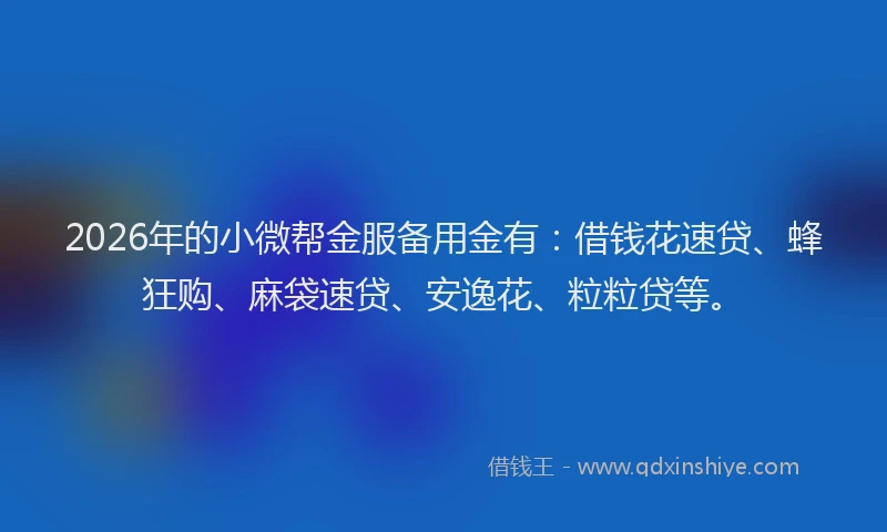2026年的小微帮金服备用金有：借钱花速贷、蜂狂购、麻袋速贷、安逸花、粒粒贷等。