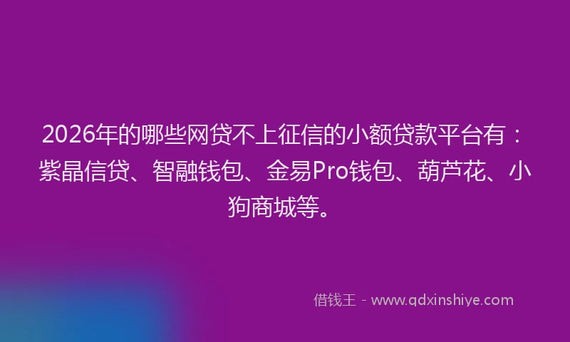 2026年的哪些网贷不上征信的小额贷款平台有：紫晶信贷、智融钱包、金易Pro钱包、葫芦花、小狗商城等。
