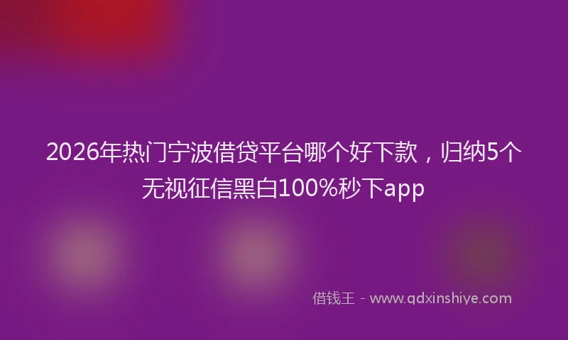 2026年热门宁波借贷平台哪个好下款，归纳5个无视征信黑白100%秒下app