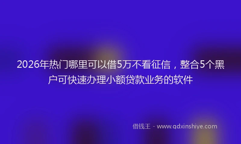 2026年热门哪里可以借5万不看征信，整合5个黑户可快速办理小额贷款业务的软件