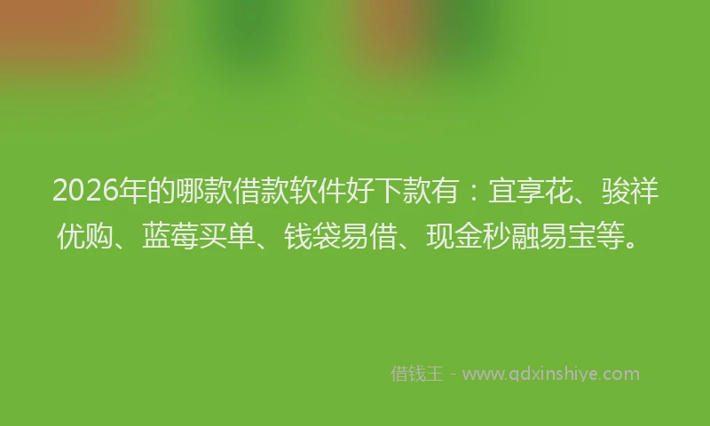 2026年的哪款借款软件好下款有：宜享花、骏祥优购、蓝莓买单、钱袋易借、现金秒融易宝等。