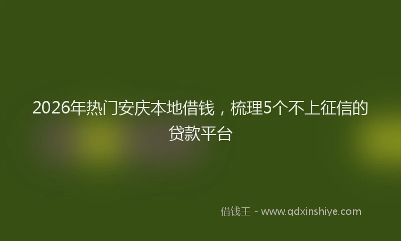 2026年热门安庆本地借钱,梳理5个不上征信的贷款平台