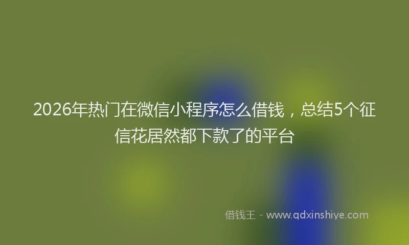 2026年热门在微信小程序怎么借钱，总结5个征信花居然都下款了的平台