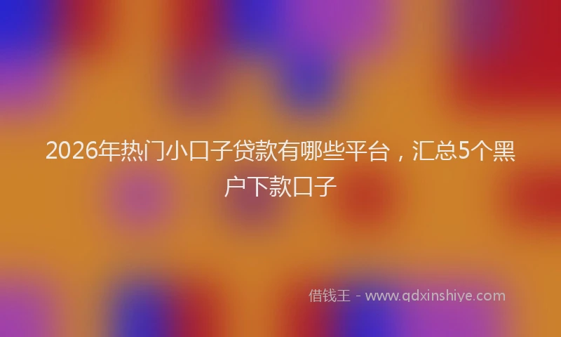 2026年热门小口子贷款有哪些平台，汇总5个黑户下款口子