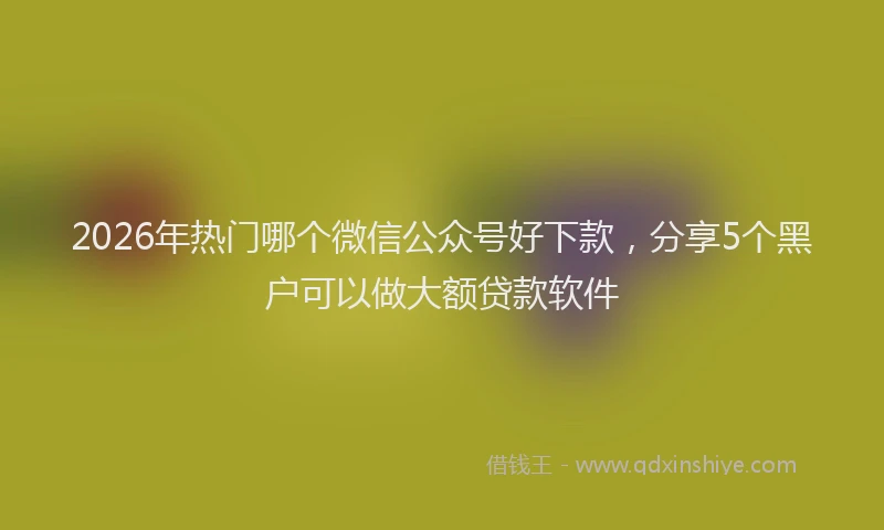 2026年热门哪个微信公众号好下款，分享5个黑户可以做大额贷款软件