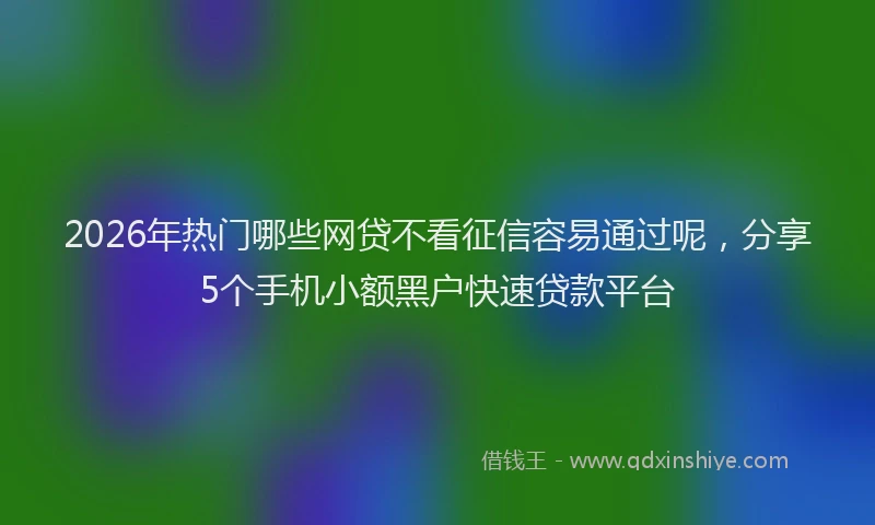 2026年热门哪些网贷不看征信容易通过呢，分享5个手机小额黑户快速贷款平台