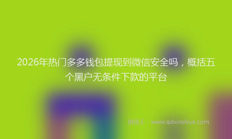 2026年热门多多钱包提现到微信安全吗，概括五个黑户无条件下款的平台