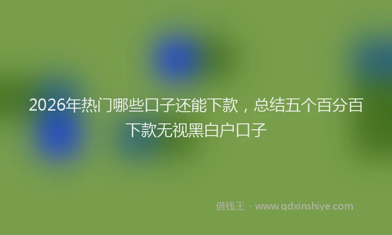 2026年热门哪些口子还能下款，总结五个百分百下款无视黑白户口子