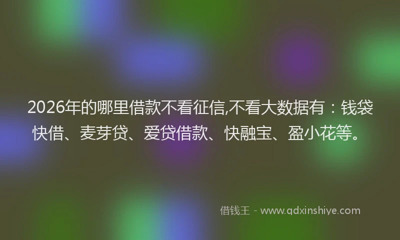 2026年的哪里借款不看征信,不看大数据有：钱袋快借、麦芽贷、爱贷借款、快融宝、盈小花等。