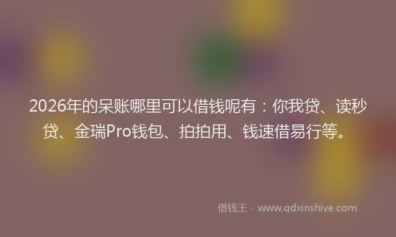 2026年的呆账哪里可以借钱呢有：你我贷、读秒贷、金瑞Pro钱包、拍拍用、钱速借易行等。