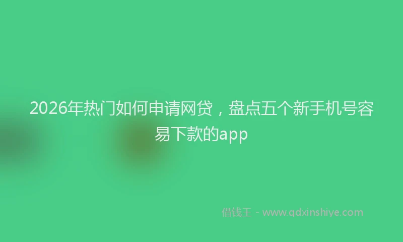 2026年热门如何申请网贷，盘点五个新手机号容易下款的app