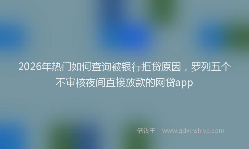 2026年热门如何查询被银行拒贷原因，罗列五个不审核夜间直接放款的网贷app