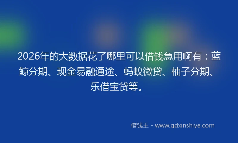 2026年的大数据花了哪里可以借钱急用啊有：蓝鲸分期、现金易融通途、蚂蚁微贷、柚子分期、乐借宝贷等。