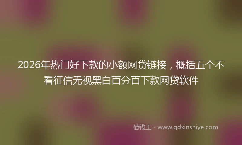 2026年热门好下款的小额网贷链接，概括五个不看征信无视黑白百分百下款网贷软件