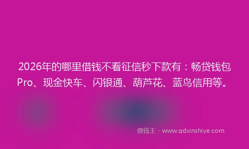 2026年的哪里借钱不看征信秒下款有：畅贷钱包Pro、现金快车、闪银通、葫芦花、蓝鸟信用等。