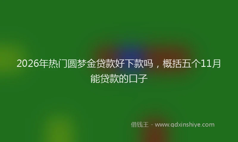 2026年热门圆梦金贷款好下款吗，概括五个11月能贷款的口子
