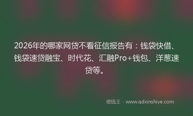 2026年的哪家网贷不看征信报告有：钱袋快借、钱袋速贷融宝、时代花、汇融Pro+钱包、洋葱速贷等。