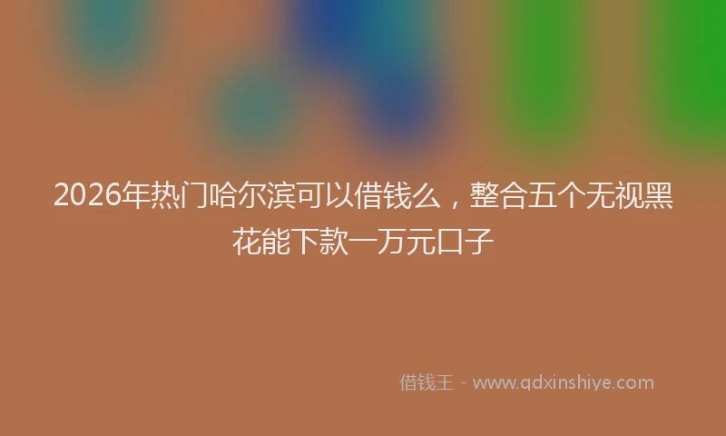 2026年热门哈尔滨可以借钱么，整合五个无视黑花能下款一万元口子