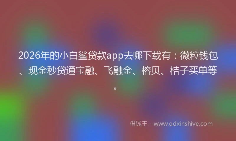 2026年的小白鲨贷款app去哪下载有：微粒钱包、现金秒贷通宝融、飞融金、榕贝、桔子买单等。