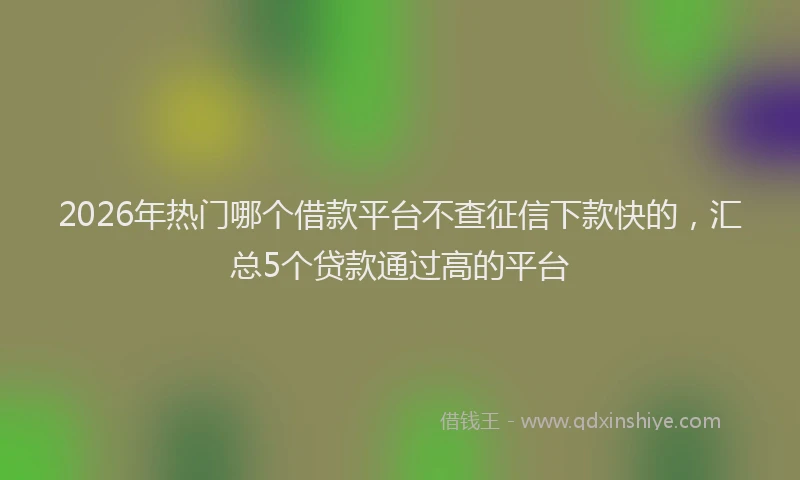 2026年热门哪个借款平台不查征信下款快的，汇总5个贷款通过高的平台