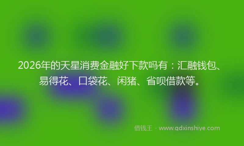 2026年的天星消费金融好下款吗有：汇融钱包、易得花、口袋花、闲猪、省呗借款等。