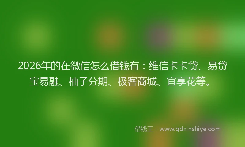 2026年的在微信怎么借钱有：维信卡卡贷、易贷宝易融、柚子分期、极客商城、宜享花等。