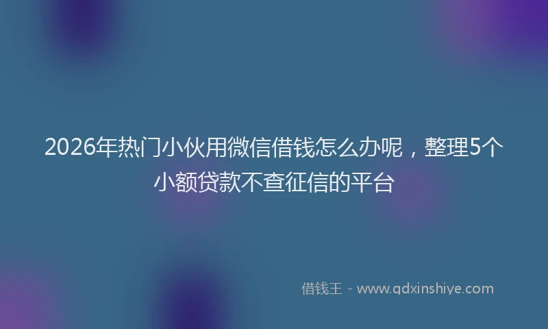 2026年热门小伙用微信借钱怎么办呢，整理5个小额贷款不查征信的平台