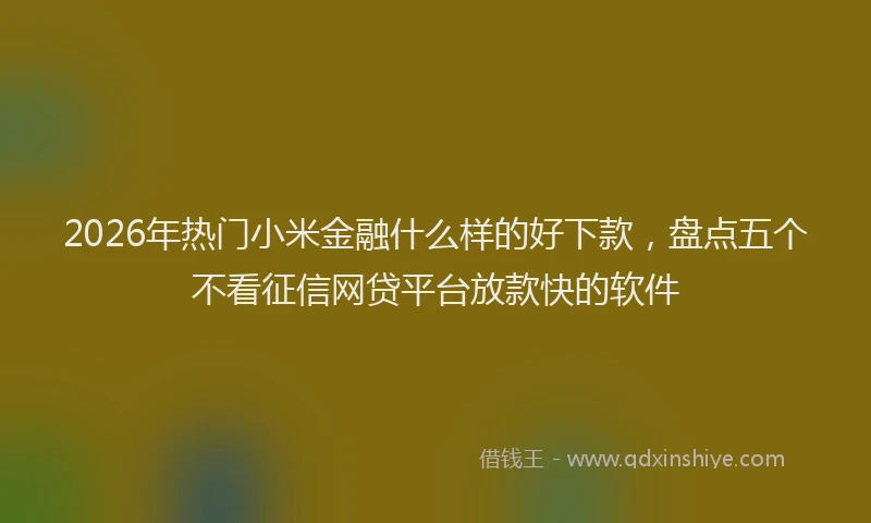 2026年热门小米金融什么样的好下款，盘点五个不看征信网贷平台放款快的软件