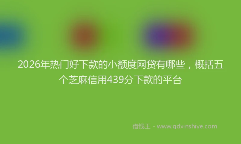 2026年热门好下款的小额度网贷有哪些，概括五个芝麻信用439分下款的平台