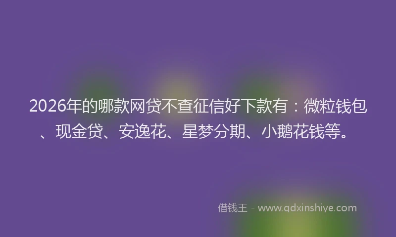 2026年的哪款网贷不查征信好下款有：微粒钱包、现金贷、安逸花、星梦分期、小鹅花钱等。