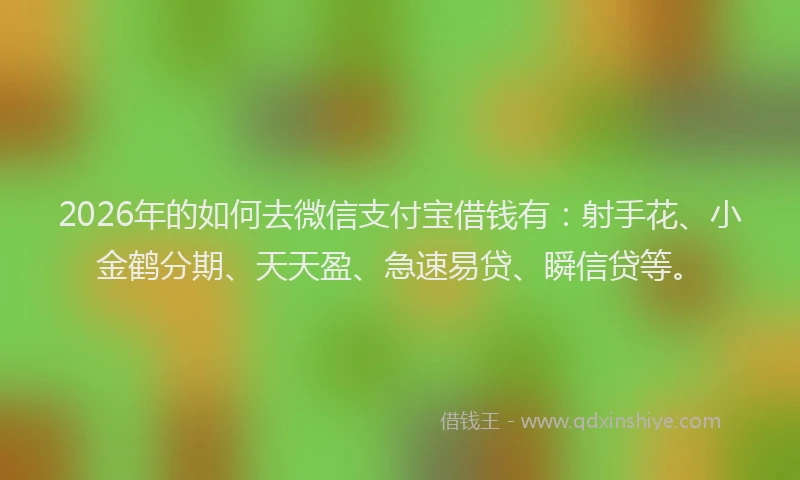 2026年的如何去微信支付宝借钱有：射手花、小金鹤分期、天天盈、急速易贷、瞬信贷等。
