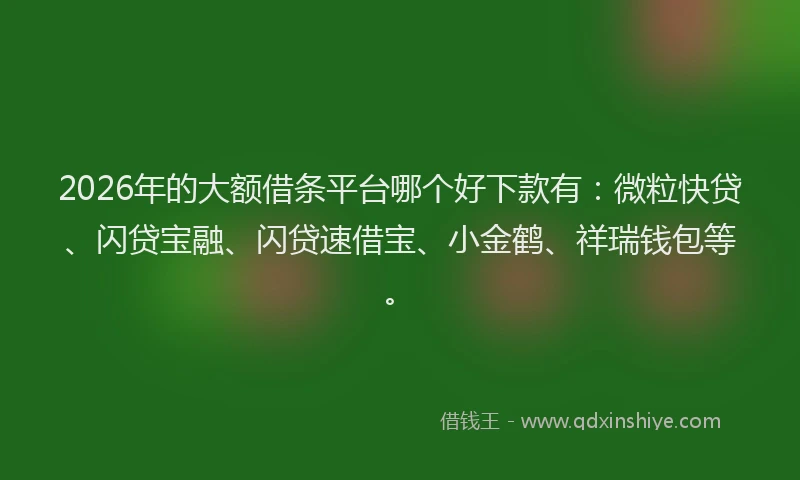 2026年的大额借条平台哪个好下款有：微粒快贷、闪贷宝融、闪贷速借宝、小金鹤、祥瑞钱包等。