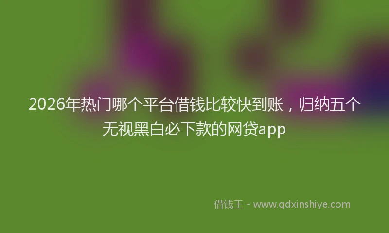 2026年热门哪个平台借钱比较快到账，归纳五个无视黑白必下款的网贷app