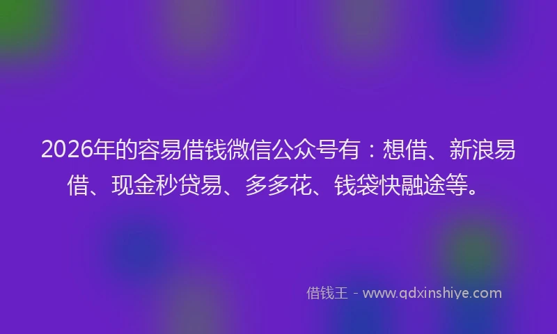 2026年的容易借钱微信公众号有：想借、新浪易借、现金秒贷易、多多花、钱袋快融途等。