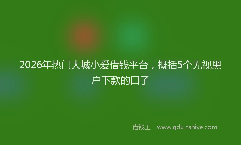 2026年热门大城小爱借钱平台，概括5个无视黑户下款的口子