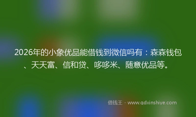 2026年的小象优品能借钱到微信吗有：森森钱包、天天富、信和贷、哆哆米、随意优品等。