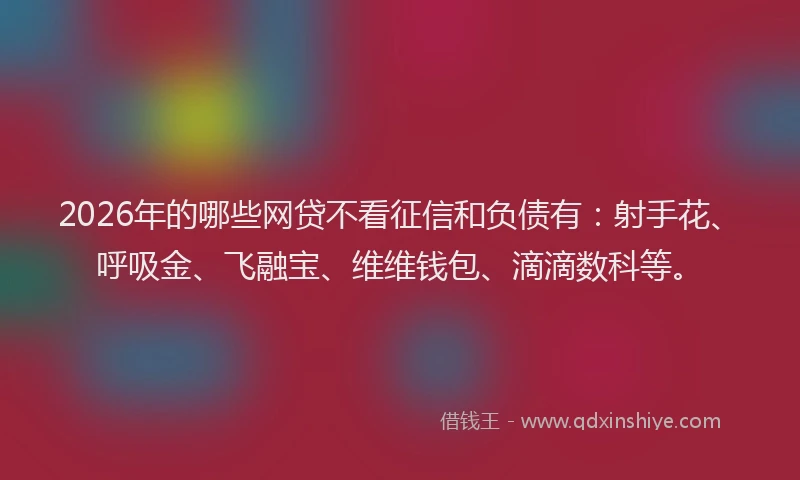 2026年的哪些网贷不看征信和负债有：射手花、呼吸金、飞融宝、维维钱包、滴滴数科等。