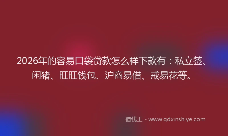 2026年的容易口袋贷款怎么样下款有：私立签、闲猪、旺旺钱包、沪商易借、戒易花等。