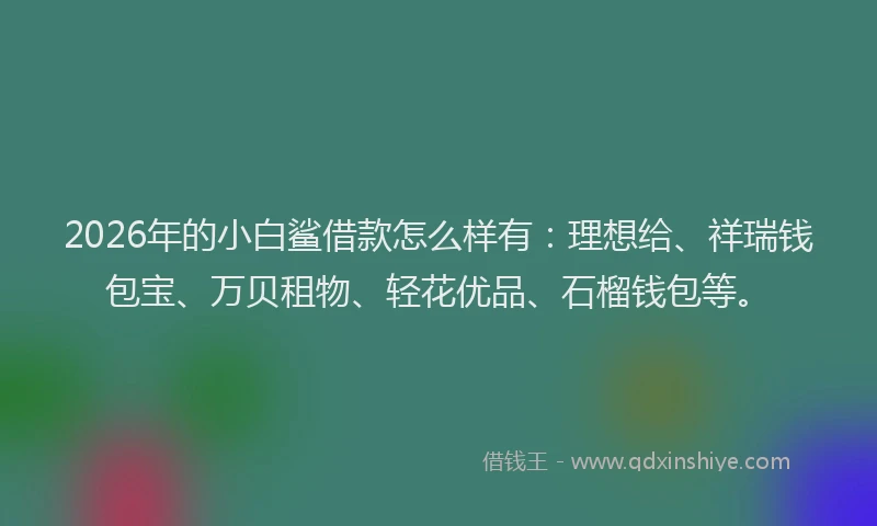 2026年的小白鲨借款怎么样有：理想给、祥瑞钱包宝、万贝租物、轻花优品、石榴钱包等。