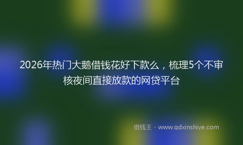 2026年热门大鹅借钱花好下款么，梳理5个不审核夜间直接放款的网贷平台